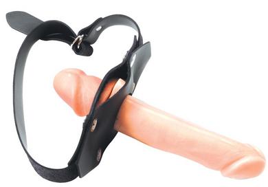 Erotic book